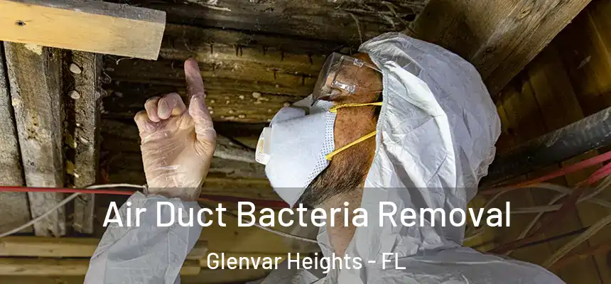 Air Duct Bacteria Removal Glenvar Heights - FL