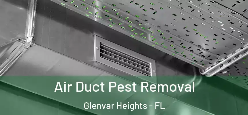 Air Duct Pest Removal Glenvar Heights - FL