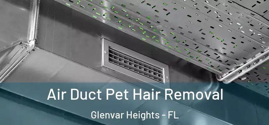 Air Duct Pet Hair Removal Glenvar Heights - FL