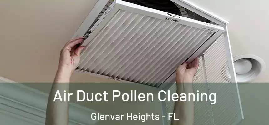 Air Duct Pollen Cleaning Glenvar Heights - FL