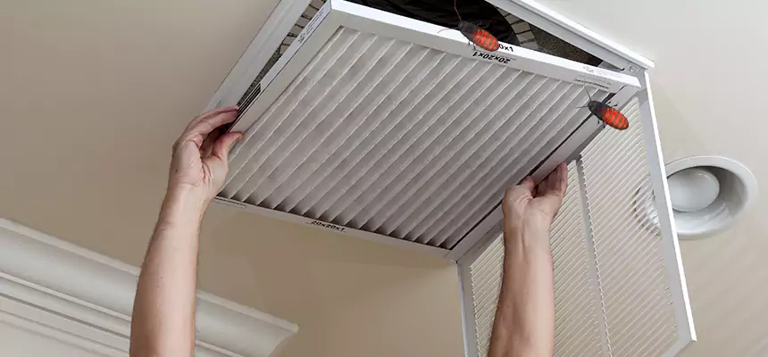 Preventive Cockroach-Proofing for Ducts in Glenvar Heights