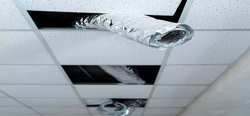 Affordable HVAC Sanitizing After Pest Removal in Glenvar Heights