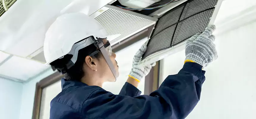 Our Mold & Mildew Removal from Air Ducts Services in Glenvar Heights, FL