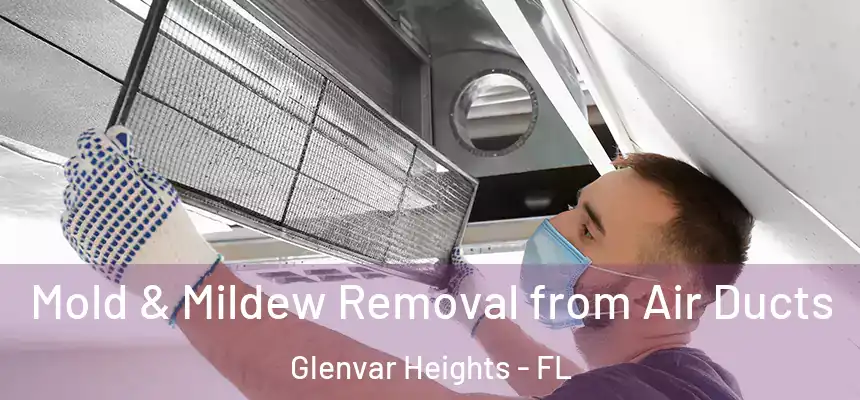 Mold & Mildew Removal from Air Ducts Glenvar Heights - FL