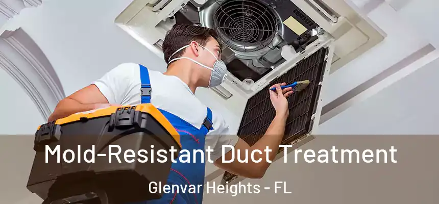 Mold-Resistant Duct Treatment Glenvar Heights - FL