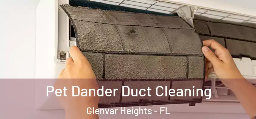 Pet Dander Duct Cleaning Glenvar Heights - FL