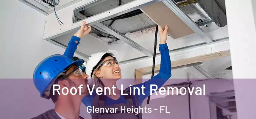 Roof Vent Lint Removal Glenvar Heights - FL