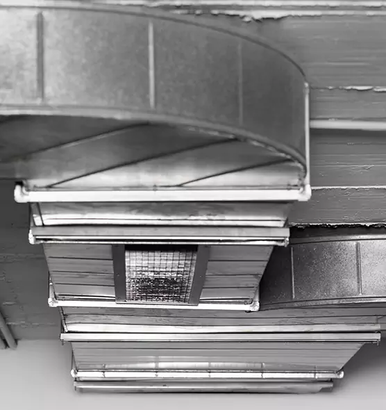 Professional Air Duct Pet Hair Removal in Glenvar Heights, FL