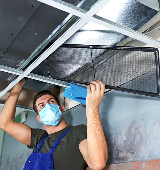 Professional Air Duct Pollen Cleaning in Glenvar Heights, FL