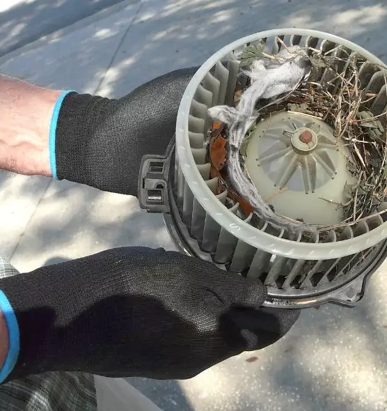 About Air Duct Rat Removal in Glenvar Heights, FL