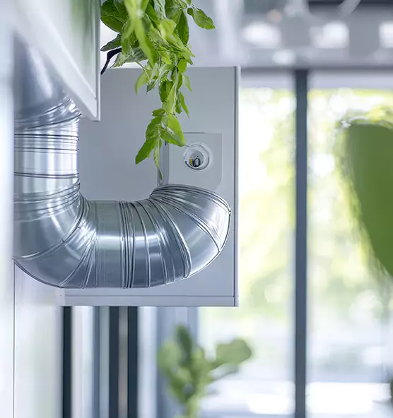 Professional Eco-Friendly Duct Cleaning Services in Glenvar Heights, FL