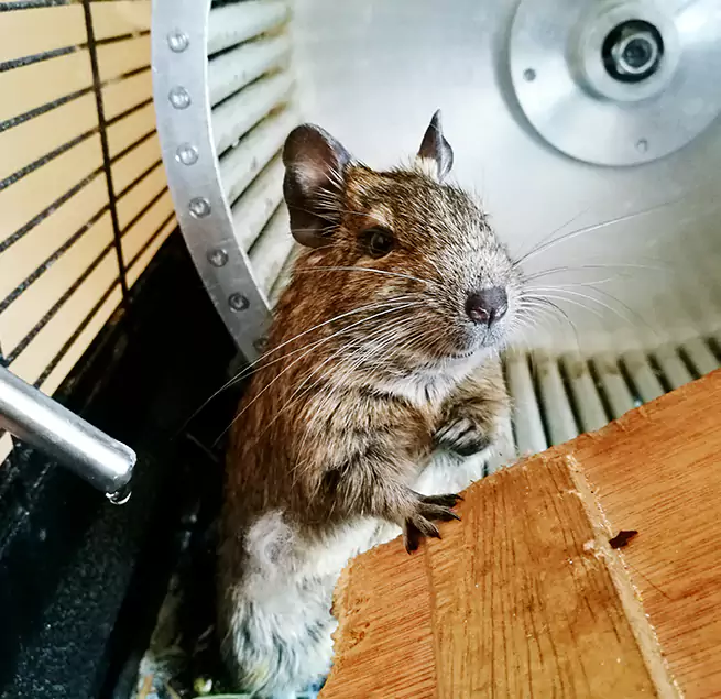 Why Homeowners & Businesses Trust Us Glenvar Heights, FL?