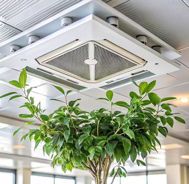 Why Homeowners & Businesses Trust Us in Glenvar Heights, FL?