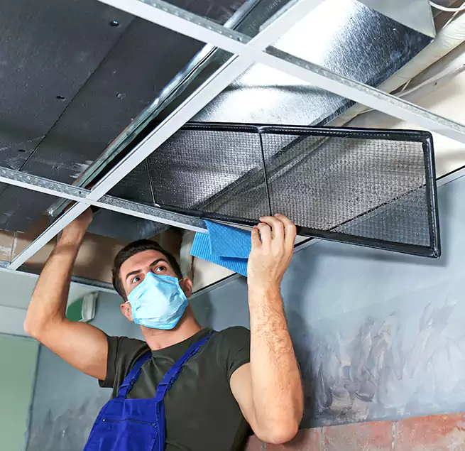 Why Homeowners Businesses Trust Us in Glenvar Heights, FL